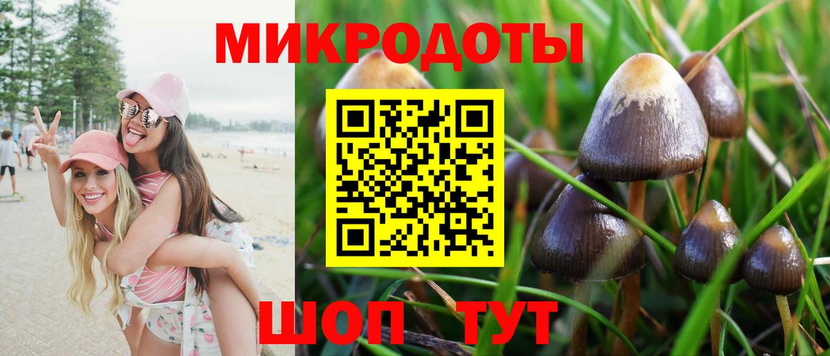 Псилоцибиновые грибы GOLDEN TEACHER Михайловск